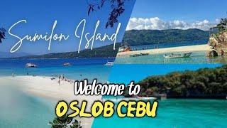 SUMILON ISLAND EXPERIENCE IN CEBU  2024 | CLEAR WATER | FISH SANCTUARY