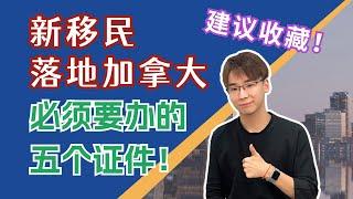 新移民落地加拿大必须要办的五个证件！建议收藏！