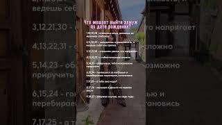#цифроваяпсихология #медитация #сюцай #семья #обучение #обучениесюцай #обучениенумерологии #обучение