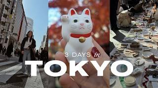 december in tokyo travel vlog  gotokuji temple, oedo antique market, setagaya flea, cafes in ginza