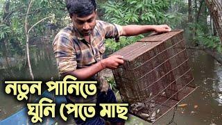 বর্ষার নতুন পানিতে মাছ ধরা | ঘুনি দিয়ে মাছ ধরা | Boy Fishing with Trap  | Fishing With Ghuni