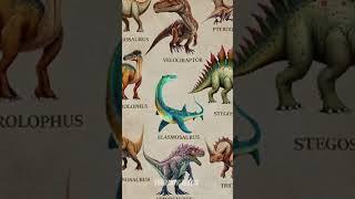 Types Of Dinosaur | Spinosaurus #shorts #dinosaur #scary