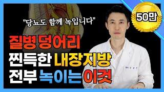 뱃살, 내장지방 전부 녹여버리는 방법! 지방간, 당뇨와 고혈압, 고지혈증에도 좋습니다!