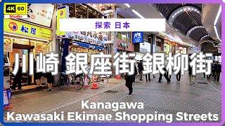 川崎 銀座街 銀柳街 4K | Kanagawa - Kawasaki Ekimae Shopping Streets | DJI Pocket 2 | 2024.11.23