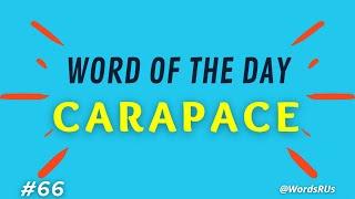 Carapace - Word of the Day | #66 | Improve your English Vocabulary | Learn Vocabulary