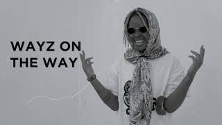 Ariel Wayz - Nkomeza (Official Visualizer)