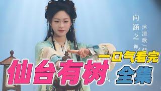 妙龄少女攻略中年师父？超好看的仙侠古偶剧  一口气看完《仙台有树》全集 1-40集完结