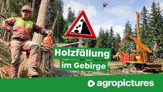 Holzernte mit Seilbahn am Steilhang | TST forestry 600 Gebirgsharvester und TST Timbernator