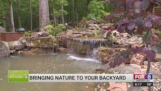 Small Business Spotlight: Carolina Pondscapes