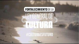 Borrador de la reforma de la Ley General de Cultura - Ministerio de Cultura de Colombia - julio 2024