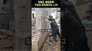 오늘도 평화로운.. 신비한 세계