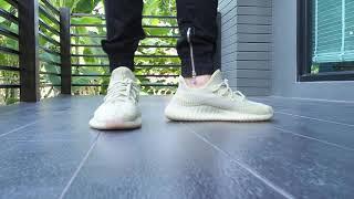 Yeezy Boost 350 V2 Antlia on Feet