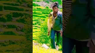 Fateko Man - Pramod Kharel • Bikram Budhathoki • Dipika Thapa • Sunita Bk New Nepali Song 2079