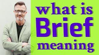 Brief | Meaning of brief