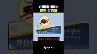 바퀴벌레 없애는 근본 살충제