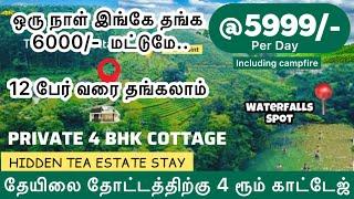 munnar cottages for group stay in budget | munnar cottages for family | BUDGET RESORT MUNNAR #MUNNAR