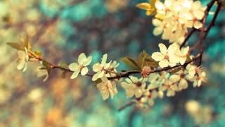Life in a Day - Music by Greg Hulme