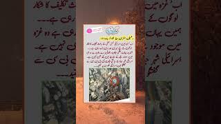 Kon Kon like kre ga aur SubhanAllah likhe ga #juma #kaba #islamicholysite #makkah #viral #foryou