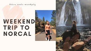 weekend trip to norcal vlog