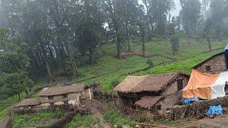 Rural Life in The Nepali Mountains in Nepal | How People Live in Nepal With Rainy Time |