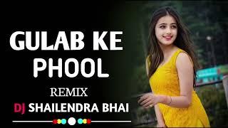 Gulab KE Phool | गुलाब के फूल New Cg Song | Cg Vibration Mp2 Mandar Mix 2024 Dj Shailendra Bhai