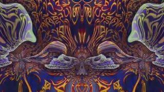 Tipper Ambient Set @ CoSM   Jan 4, 2015