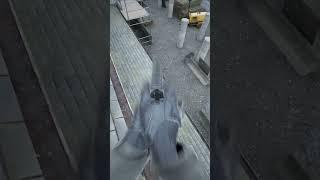 Ragdoll Physics is just Amazing in BODYCAM!! #unrealengine5 #gaming #bodycam