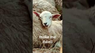 I Will Lie Down and Sleep in Peace | Psalm 4:8 | Christian Motivation Media
