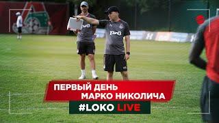 #LOKO LIVE // Первый день Марко Николича