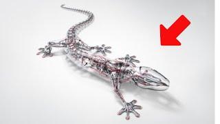 10 AMAZING ROBOTIC ANIMALS YOU MUST SEE/Tech Nation