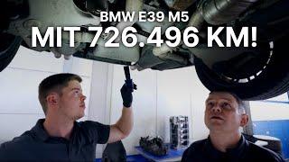 Schafft er die MILLION? BMW E39 M5 vor der RESTAURATION! BESTANDSAUFNAHME & PROBEFAHRT