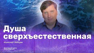 Душа сверхъестественная/ Николай Зайцев