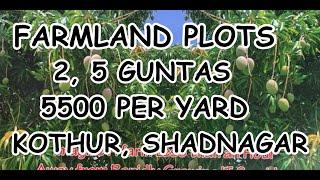 Farm Land for sale | KOTHUR  | SHADNAGAR | 5,499₹ yard | 2, 5 & 10 guntas | LowBudget