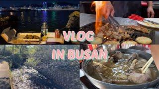 일상 Vlog | 지난가을 이제야 올리는 브이로그(부산항대교, 양곱창, 다이소, 금정산 오리백숙)