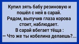 Как Зять в Сарае Корову Напугал! Сборник Свежих Анекдотов! Юмор!