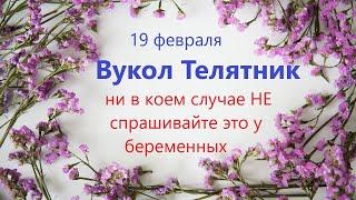 19 февраля народный праздник День ВУКОЛА. Что нельзя делать. Народные традиции и приметы