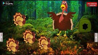 Giant Turkey Forest Escape walkthrough Games2Rule.