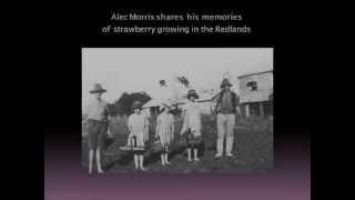 Redland Voices -  Alec Morris speaks about growing strawberries