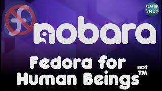 Nobara Linux - It's "Fedora for Human Beings"