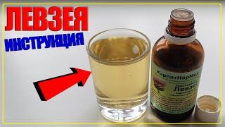 Leuzea INSTRUCTION | ADAPTOGENS