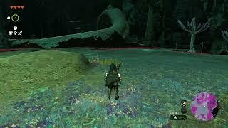 The Legend of Zelda, Tears of the kingdom, exit to depths, camera work in the depths mission