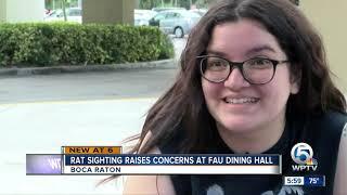 Health department inspects FAU dining hall after rat incident