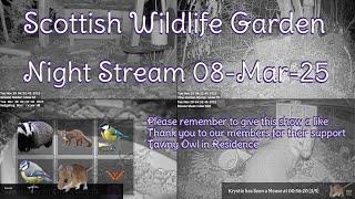 Night Stream March 8th 2025 | Bird Feeders, Wildlife Cameras Scotland UK from SWG