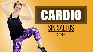 Cardio No Jumps to Lose Weight Fast