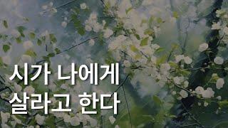 시가 나에게 살라고 한다ㅣ나태주 엮음ㅣ마음이 차분해지는ㅣ책읽어주는 남자ㅣ잠잘 때 듣는ㅣ오디오북 ASMR