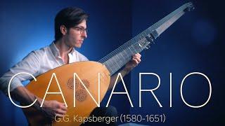 Canario on Theorbo!