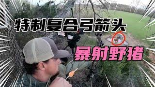 獵人用複合弓箭頭加火藥，一擊射爆野豬頭顱，這狩獵管道太酷！ 獵人狩獵野豬的精彩場面《肉食獵人》S12E6