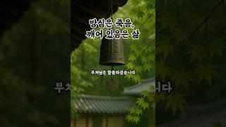 방심은 죽음으로 이르고, 깨어 있음은 삶으로 이끕니다. [법구경] [시적] [부지런함] [1분명상] [깨어있는삶]