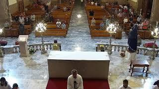 San Jerónimo, presbítero y doctor de la Iglesia- Sr. Cura Jesús Rosillo