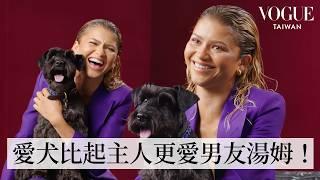 Zendaya甜曬寶貝愛犬Noon：狗奴認證！大明星穿禮服也得撿狗便便、跟男友爭寵完敗直呼狗媽當的好心酸？｜明星隱藏嗜好｜Vogue Taiwan